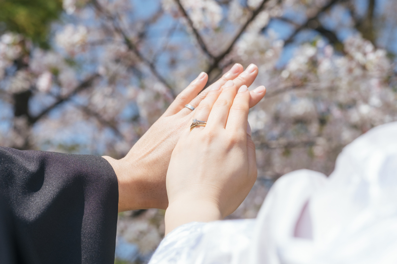 桜ロケーション撮影について