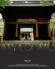 鎌倉・妙本寺で叶える前撮り｜静けさと自然に包まれるロケフォト【ONELIFE】