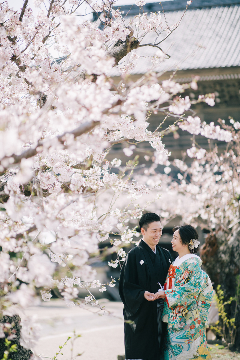 桜予約はお早めが吉！