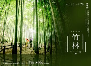 【1月2月限定 先着5組】横浜の小京都 竹林小道で和装フォトウェディング！