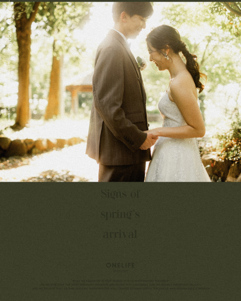 春のロケーションフォトという選択【ONELIFE】