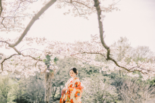 まだ間に合う！桜ロケーション撮影！！！