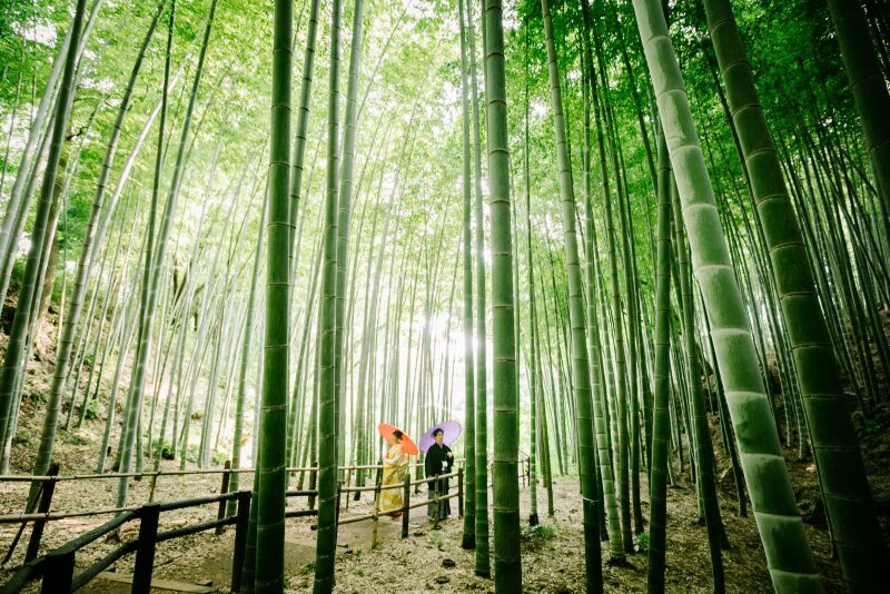 『4月までの撮影申し込み』でお得な豪華特典プレゼントつきプランのご紹介！