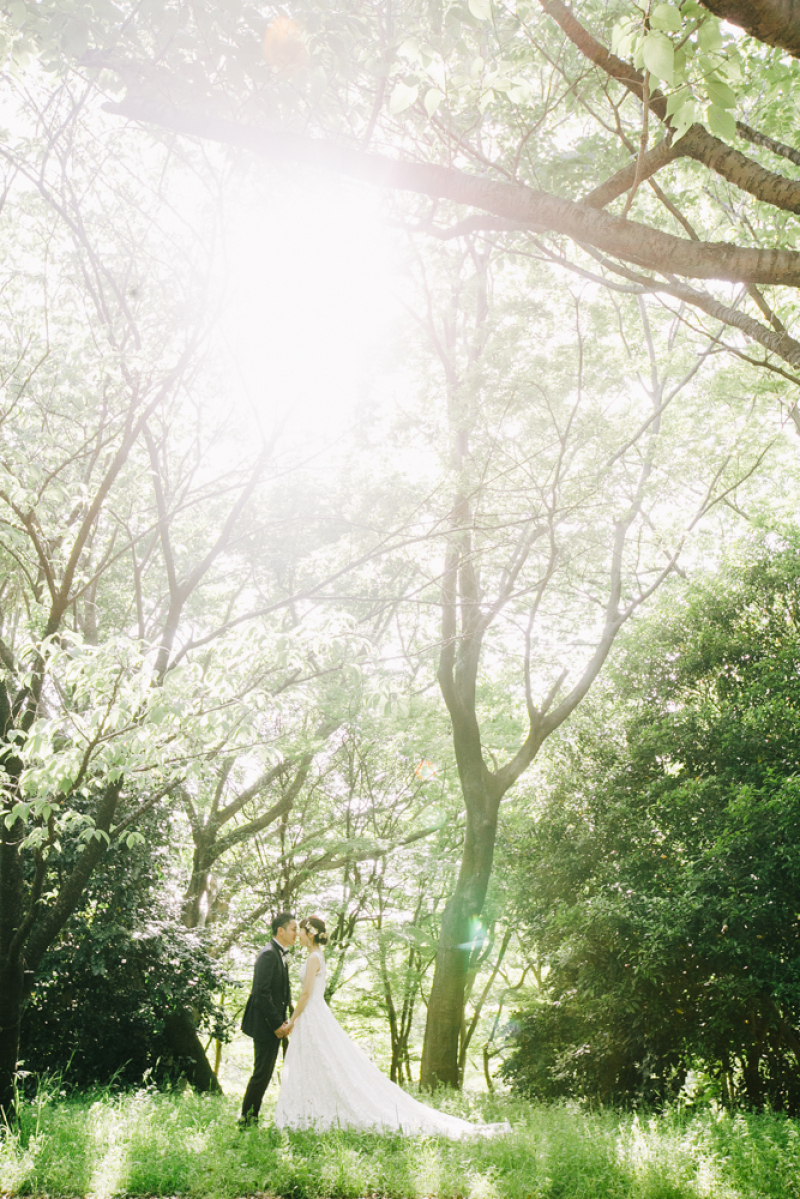 GREEN!!!気持ちのいい新緑フォト