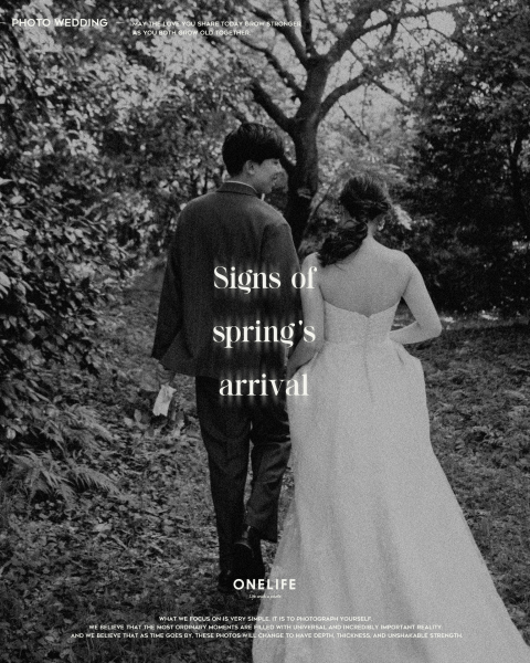 春のロケーションフォトという選択【ONELIFE】