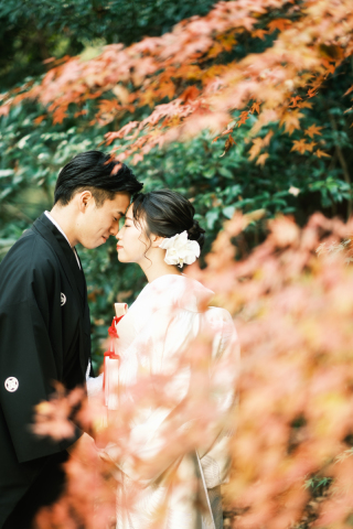 色づくまでの情緒。