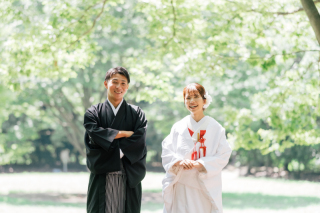 さわやかなグリーン