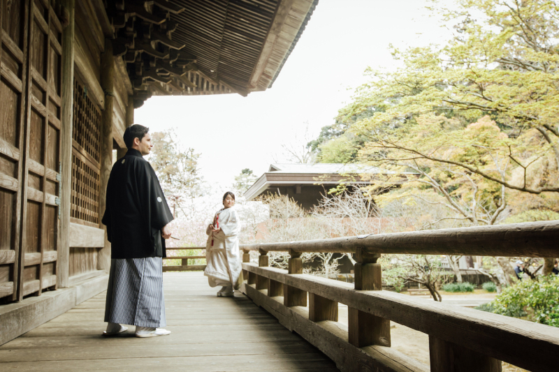 和装庭園ロケーション撮影【妙本寺】