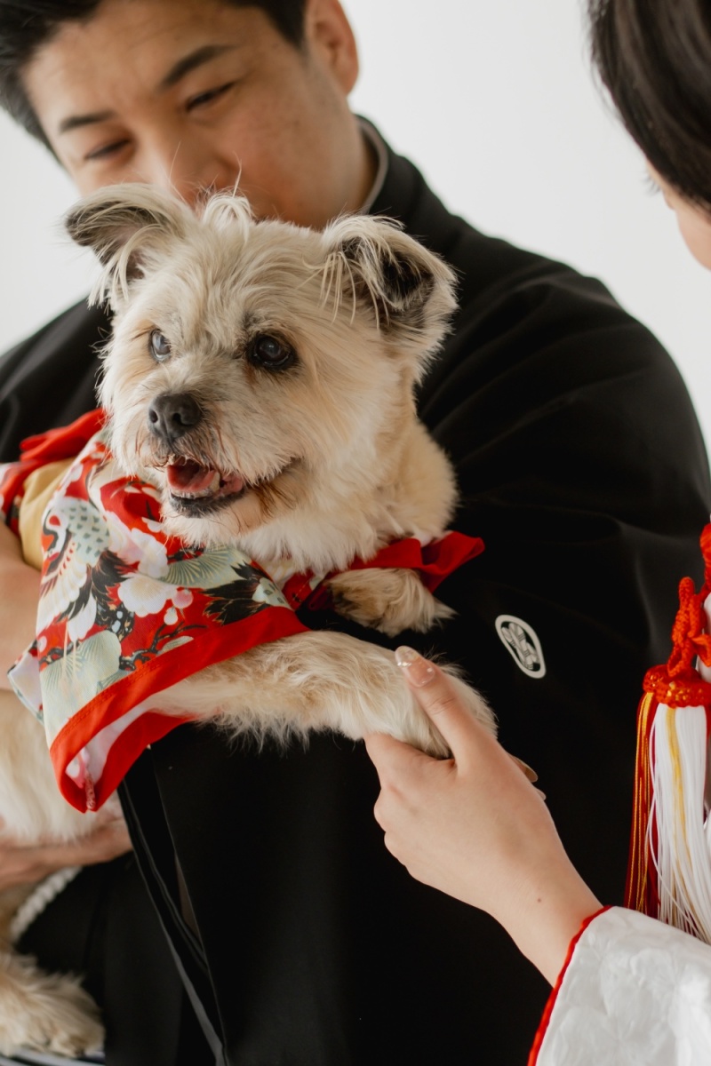 わんこと和装スタジオ撮影【ONELIFE】