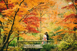 紅葉撮影予約受付中！9月のはじまりはじまり