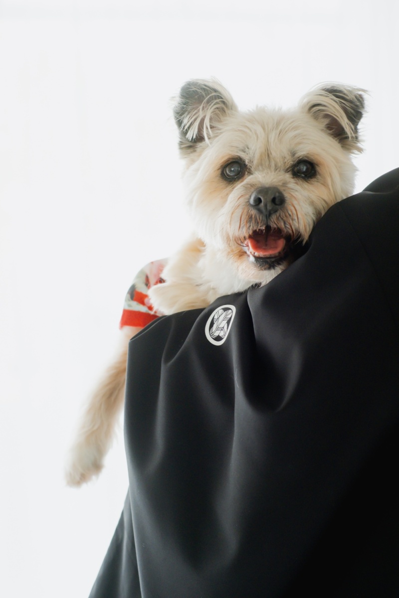 わんこと和装スタジオ撮影【ONELIFE】