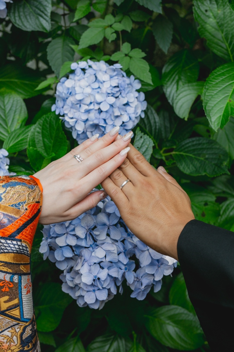 寺院と紫陽花と。