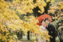 紅葉撮影のご予約はお早めに!