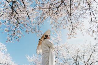 桜の美しいロケーションフォトご案内中◎