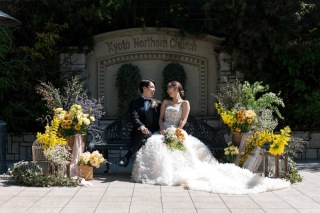 ミモザ咲く＊春のガーデンフォト