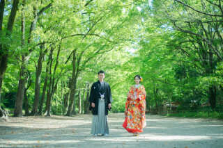糺の森が美しい【下鴨神社前撮り・フォトウエディング】今が狙い目!