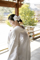 胡蝶蘭の生花ヘアオーナメント✿