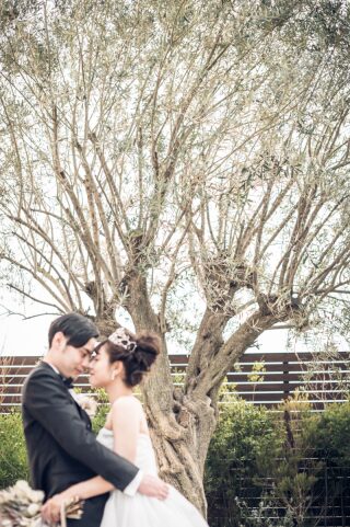 京都ノーザンチャーチ北山教会フォトスポットのご紹介【Part.1】