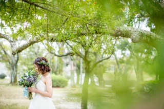 今週末のご見学ご案内状況✨