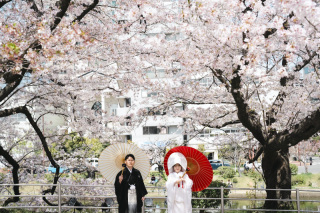 今週末のご見学ご案内状況✨