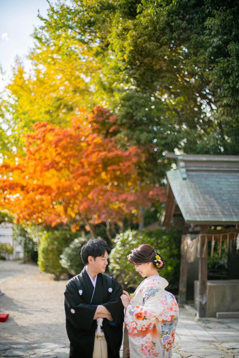 秋の紅葉フォト