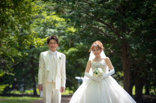 緑が芽吹き始める新緑のフォト