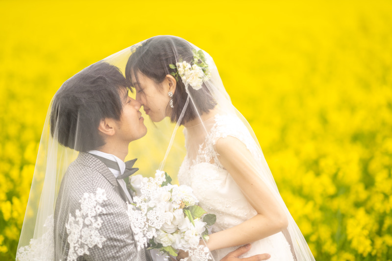 春菜の花畑の撮影ご予約のご案内