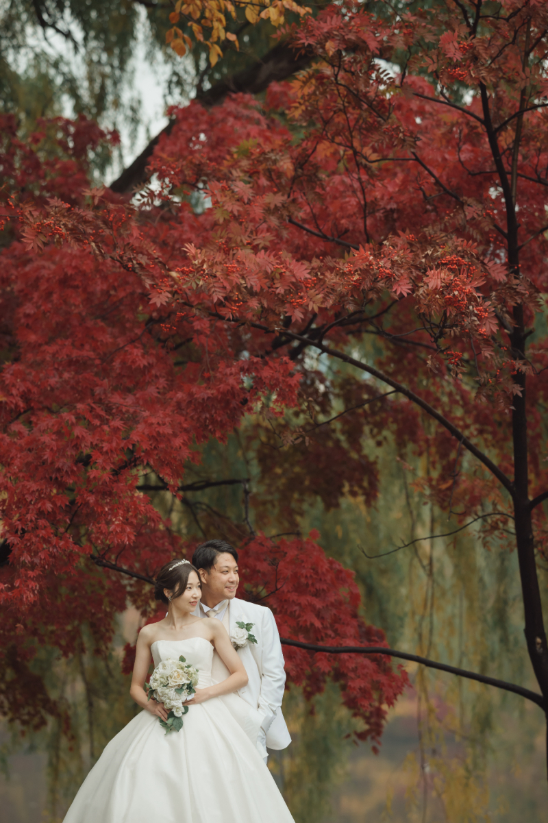 紅葉結婚写真のご案内