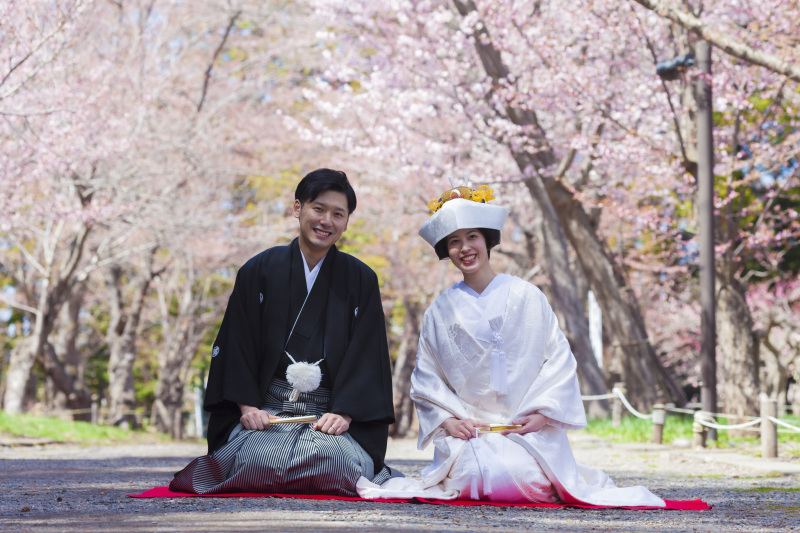 北海道神宮挙式とさくら、サクラ、桜でフォトウェデイング
