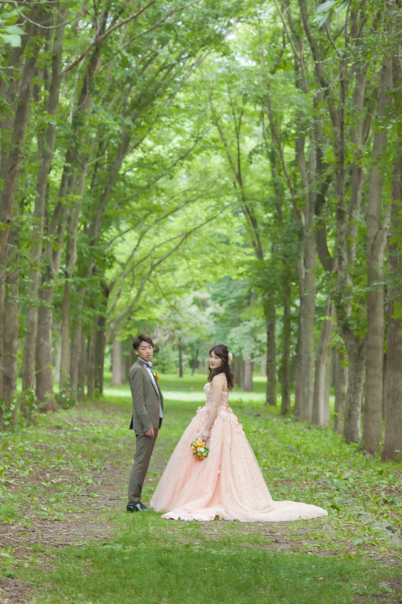 夏の緑の前田森林公園と札幌のラベンダー１