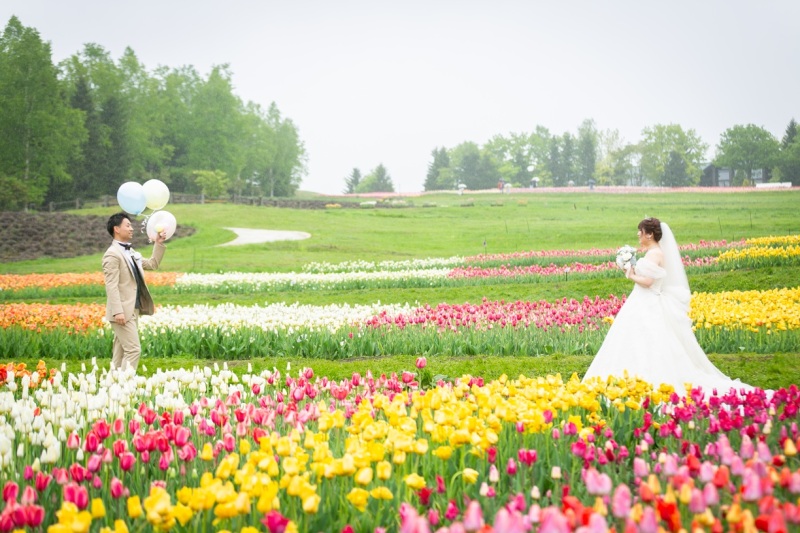 【滝野すずらん公園】チューリップの季節での撮影