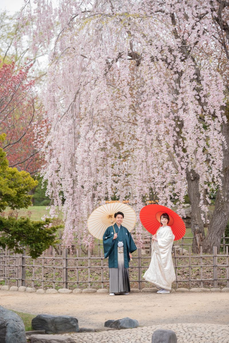 解禁!春まち!桜・サクラ・さくらフォトウェデイングのお知らせ!