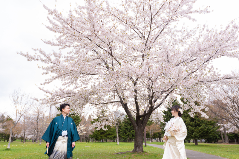 札幌さくら、サクラ、桜フォトウェデイング和装2点ですてきに