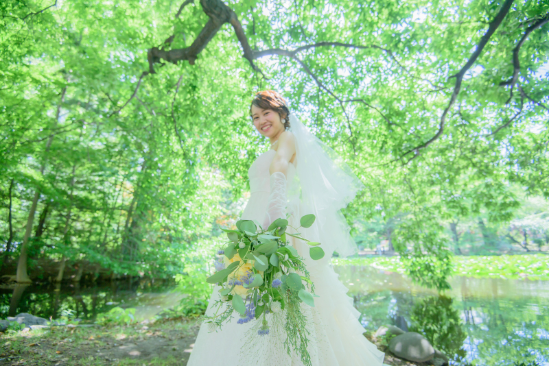 緑が芽吹き始める新緑のフォト