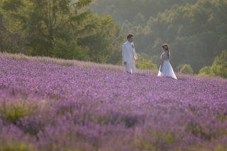 札幌でラベンダー畑＆グリーンの中でロケーションフォトができる！