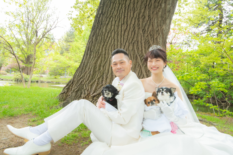 桜、さくら、サクラウェデイングフォト札幌ワンちゃんと一緒に
