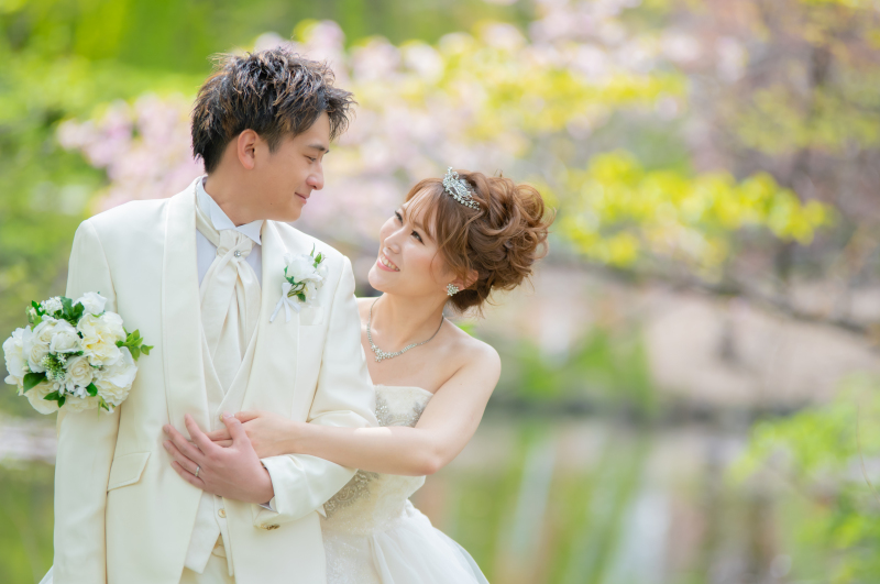 緑が芽吹き始める新緑のフォト