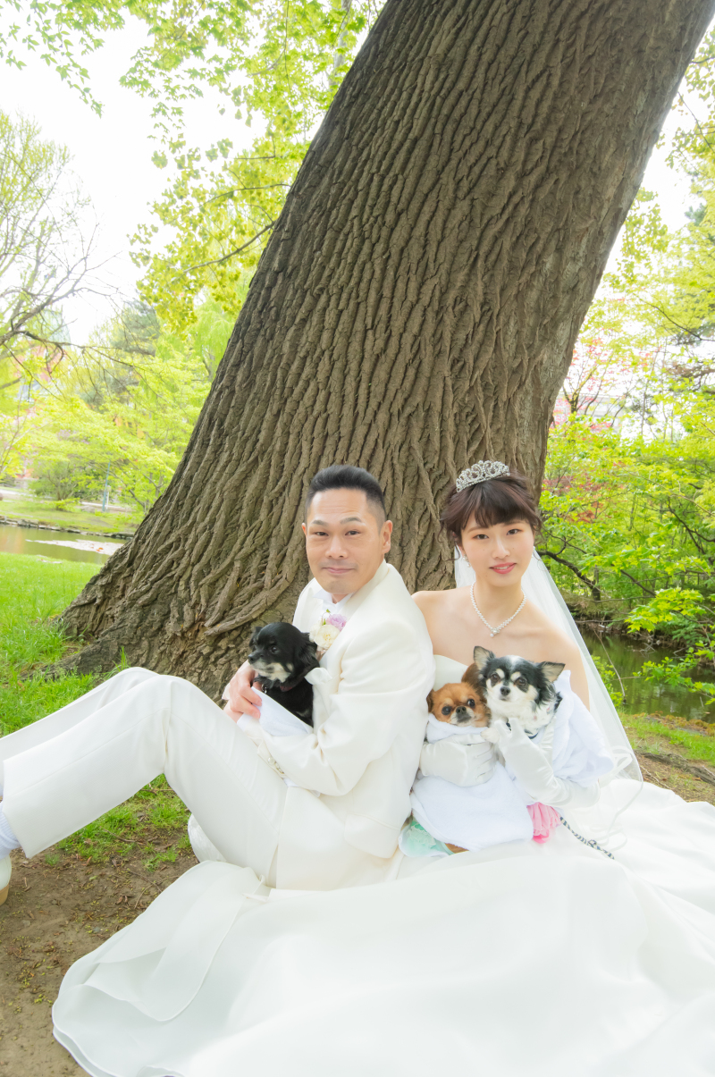 桜、さくら、サクラウェデイングフォト札幌ワンちゃんと一緒に