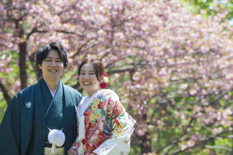 桜、さくら、サクラウェデイングフォト和装と洋装で撮りたい