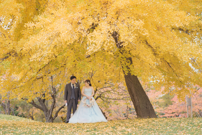 紅葉結婚写真のご案内