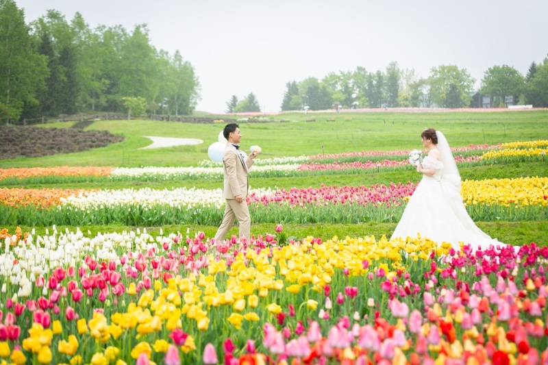 【滝野すずらん公園】チューリップの季節での撮影
