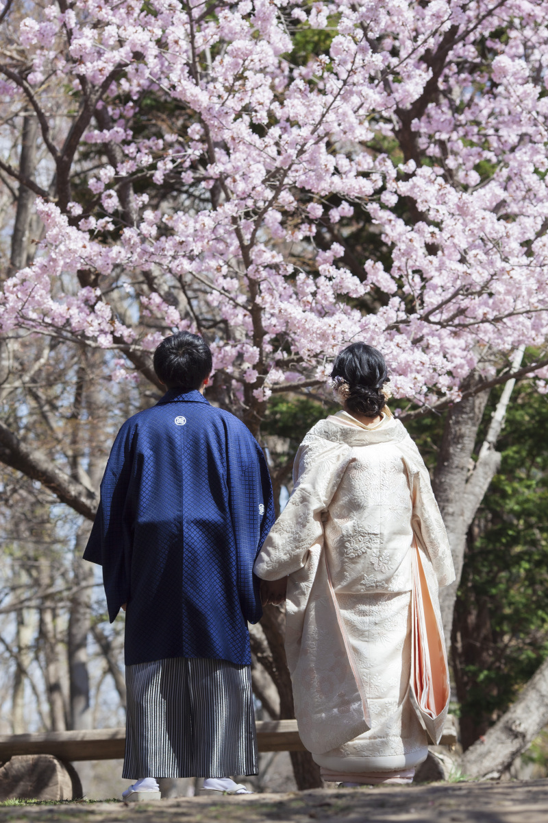 北海道神宮挙式とさくら、サクラ、桜でフォトウェデイング