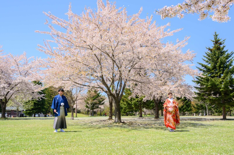 解禁!春まち!桜・サクラ・さくらフォトウェデイングのお知らせ!