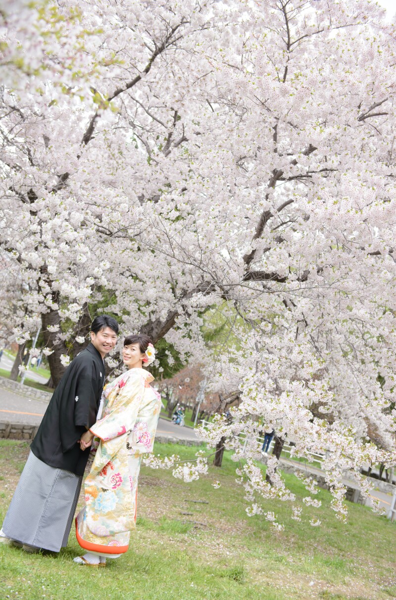 桜の開花時期札幌の話