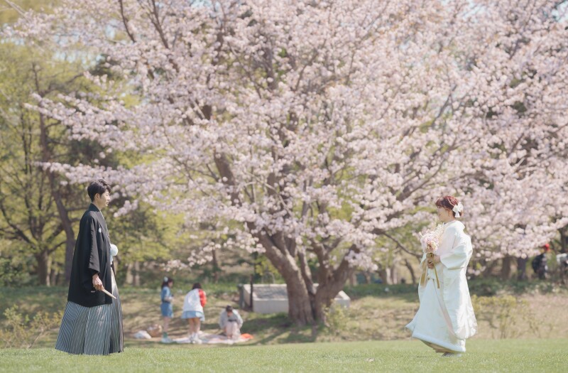 フォトウェデイングを2回に分けてご計画1日目は桜で和装でみんなで楽しく