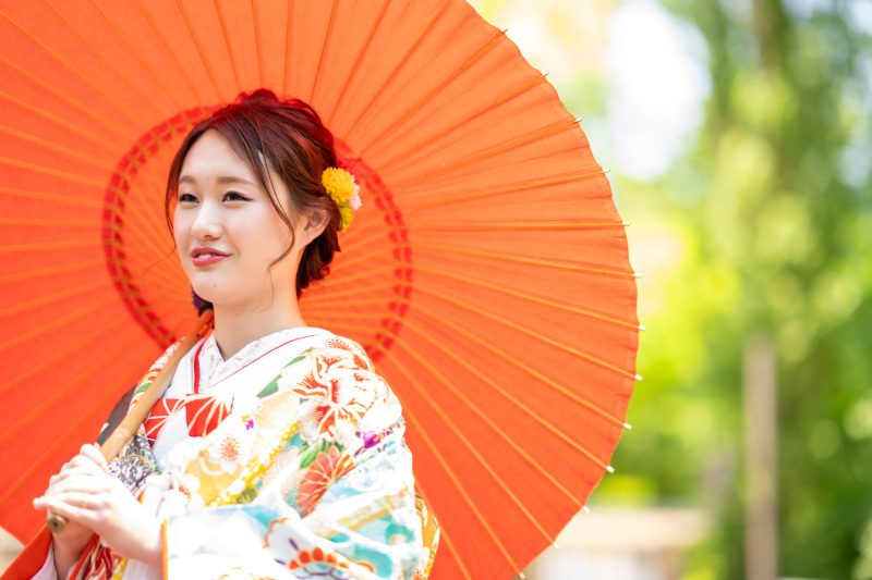 夏の和装道庁公園の緑の中で