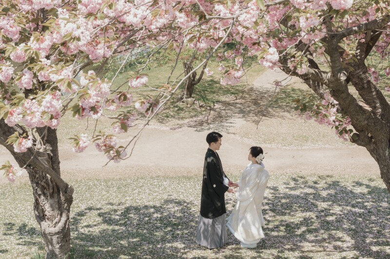  桜・さくらサクラフォトウェディング2026｜オトナフォト【開花予想・予約状況】