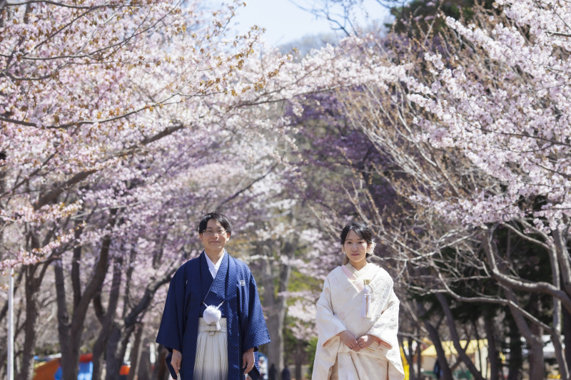 北海道神宮挙式とさくら、サクラ、桜でフォトウェデイング