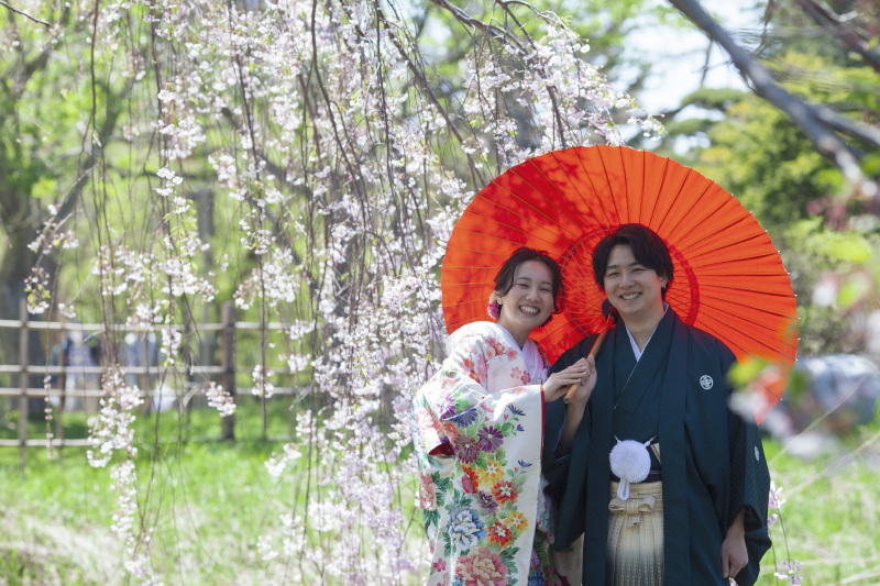 桜、さくら、サクラウェデイングフォト和装と洋装で撮りたい