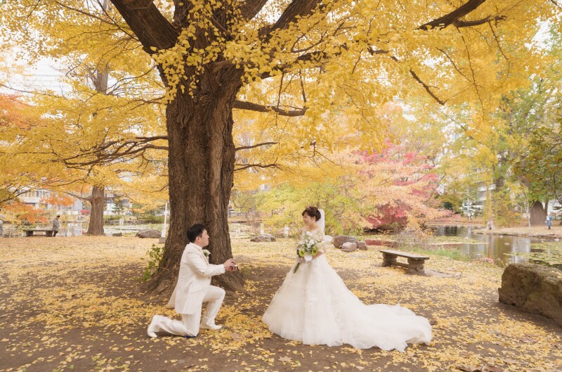 秋の紅葉と光のチャペル